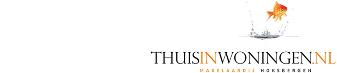 Thuisinwoningen.nl logo